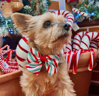 Sailor Bow Tie - Candy Cane Swirl