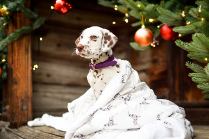 Supersize Soft Blanket - Watercolour Dalmatians