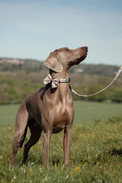Fabric Dog Lead - Cotswold Cottage