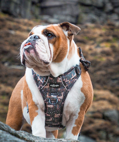 Hike & Go™ Harness - Nature Trails