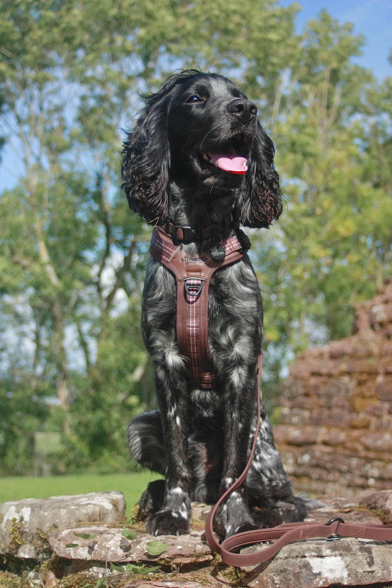 Streamline Pro™ Dog Harness - Heritage Collection - Truffle Brown