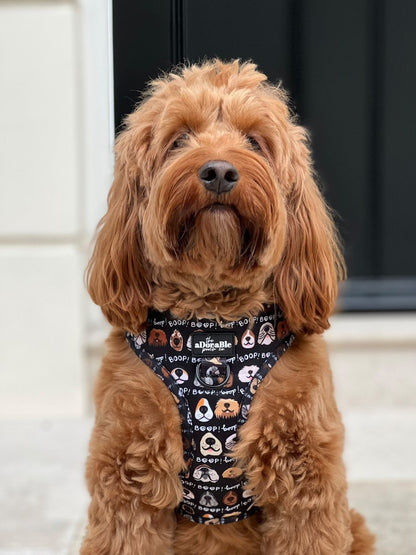 Adjustable Harness - The aDoraBle Pooch Co x Boop My Nose - Boop! - Black
