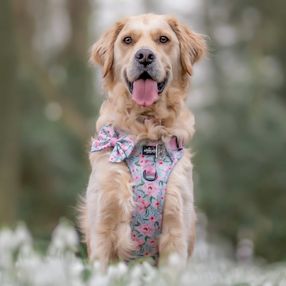 Sailor Bow Tie - Peony Petals