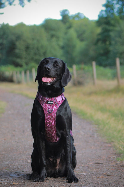 Hike & Go™ Harness - Highland Heather