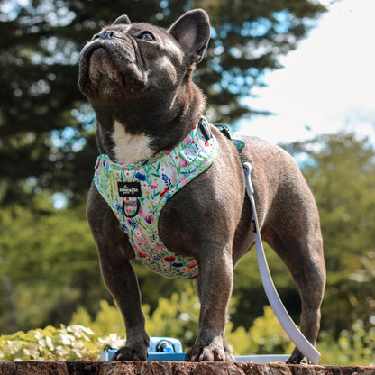 Adjustable Harness - Wildflower Meadow