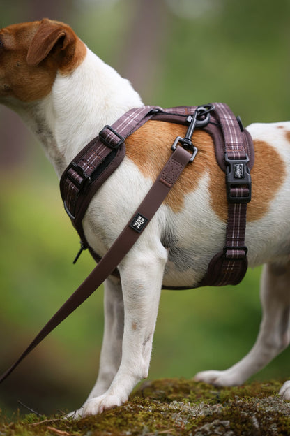 Streamline Pro™ Dog Harness - Heritage Collection - Truffle Brown