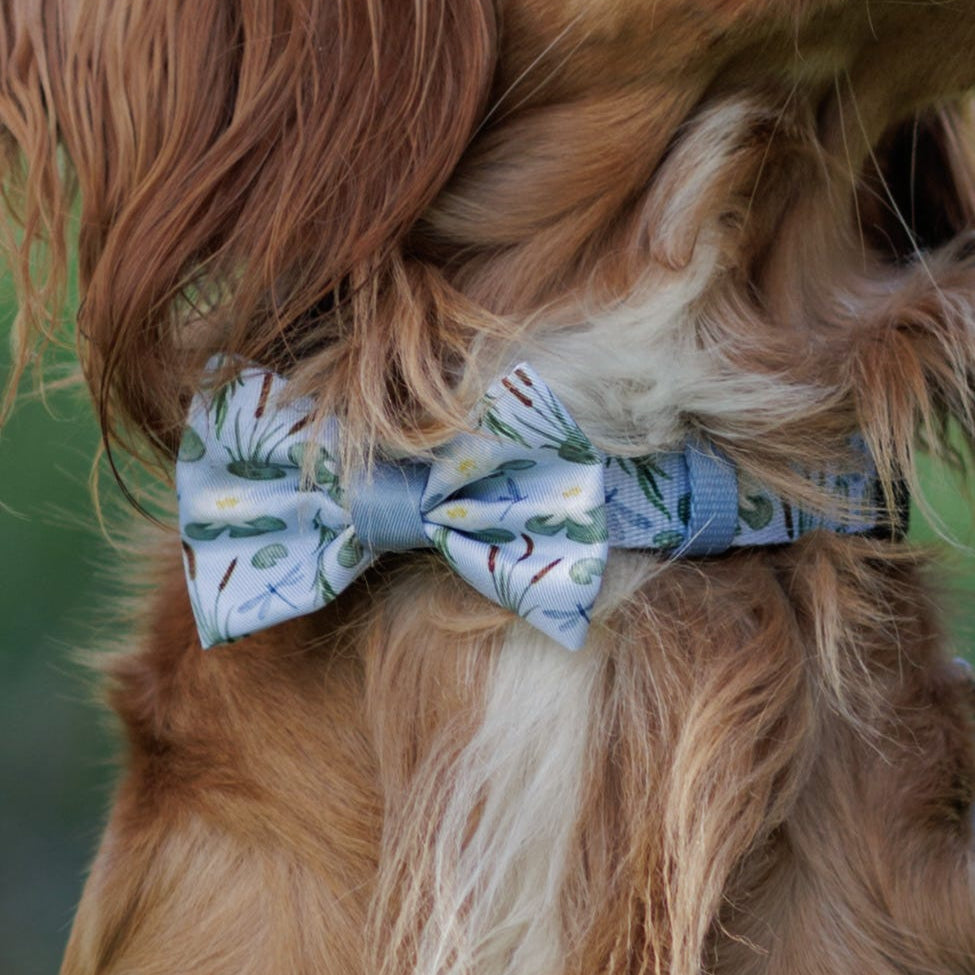 Dog Dickie Bow Tie - Willow Waters
