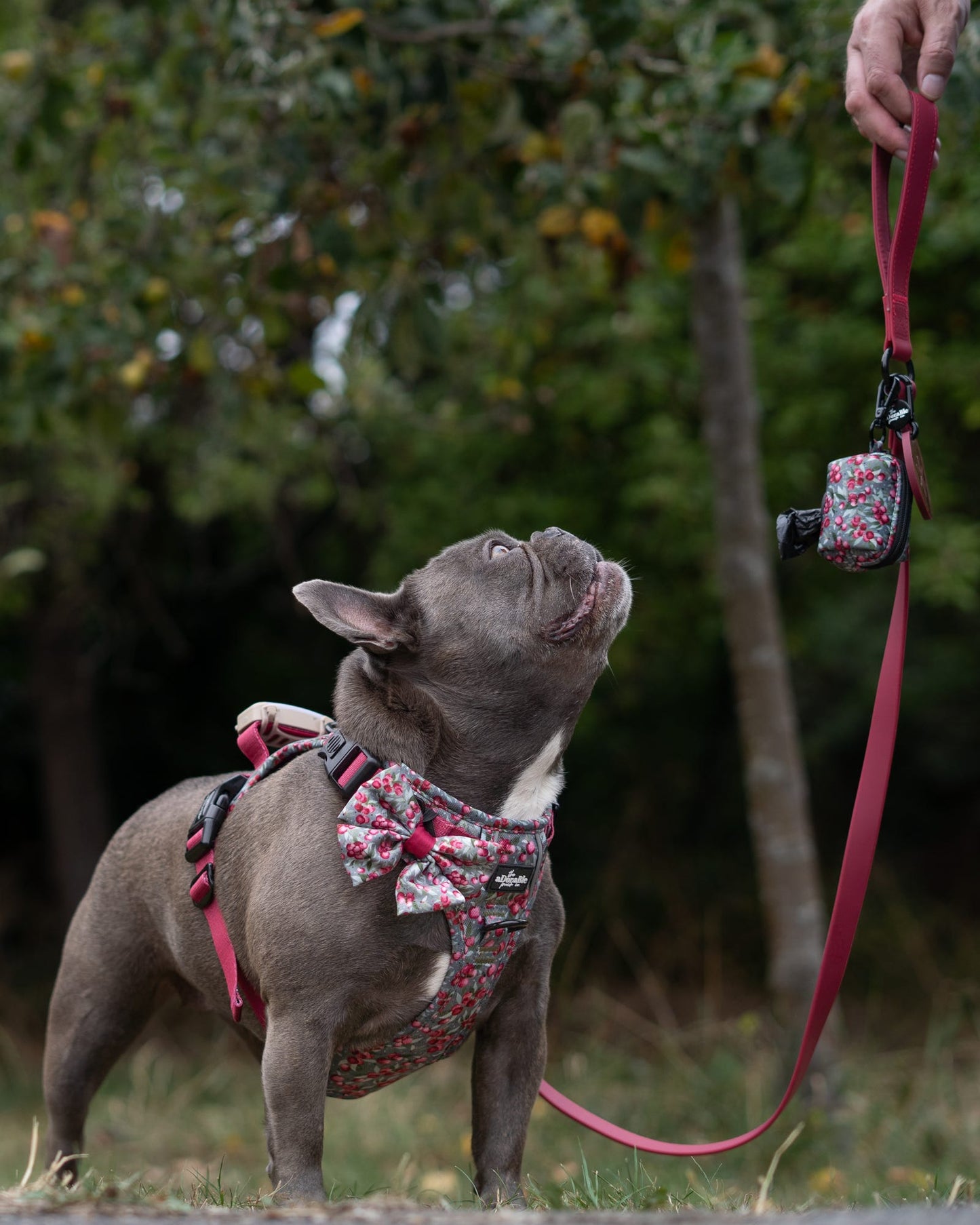 Poop Bag Holder - Crab Apple Cottage
