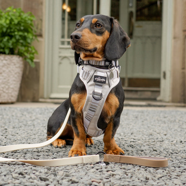 Hike & Go™ Harness - Coconut Cream