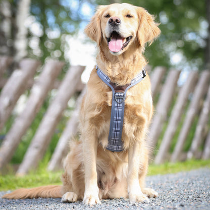 Streamline Pro™ Dog Harness - Heritage Collection - Gunsmoke Grey