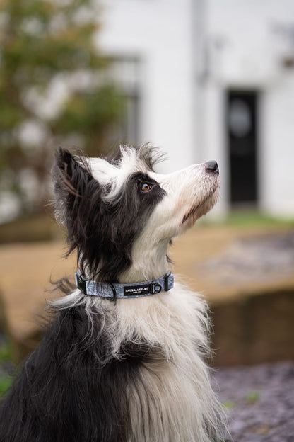 Laura Ashley Dog Collar - Shepherd's Purse