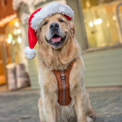 Hike & Go™ Harness - Gingerbread Frosting