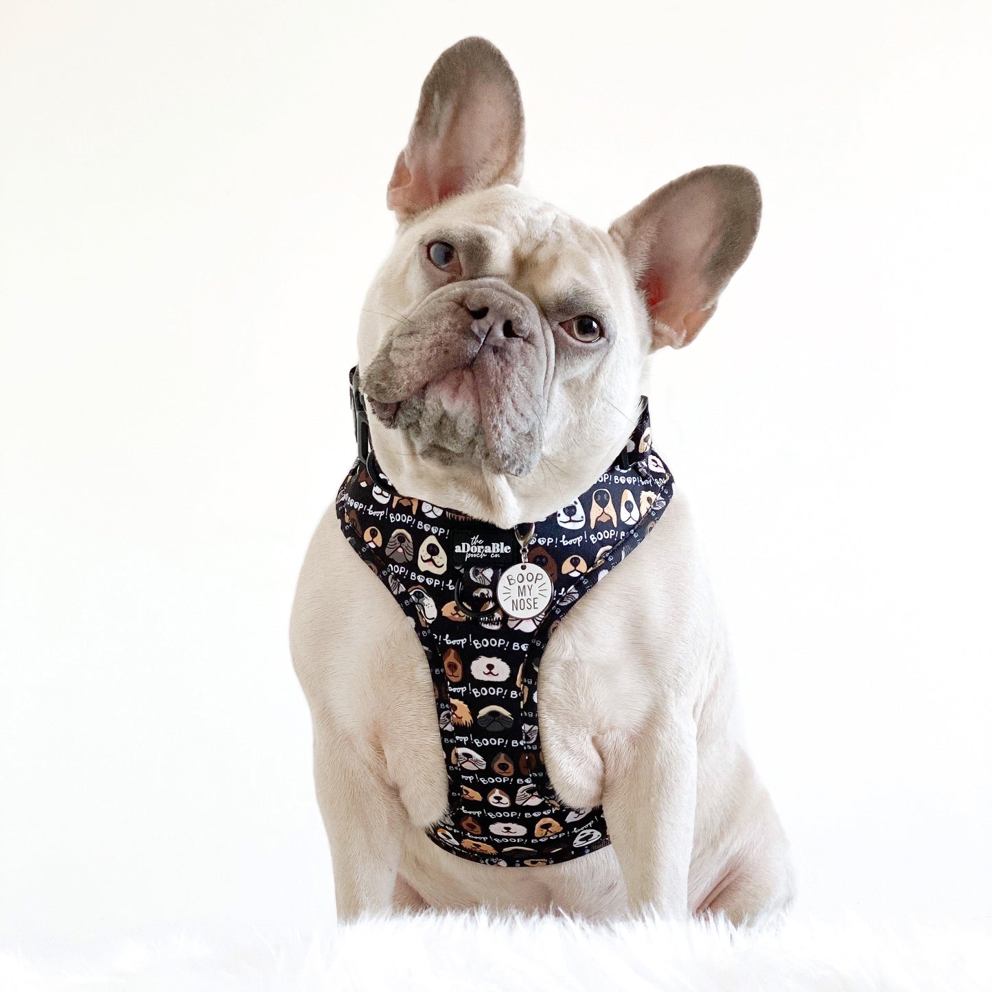 Adjustable Harness - The aDoraBle Pooch Co x Boop My Nose - Boop! - Black