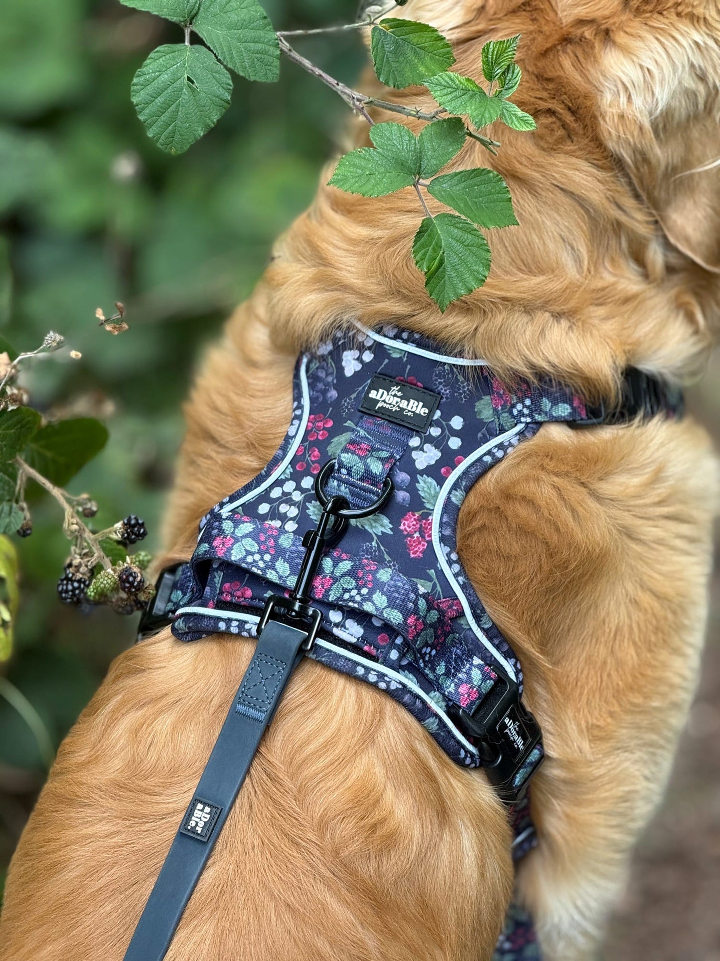 HydroFlex™ Waterproof Dog Lead - Navy