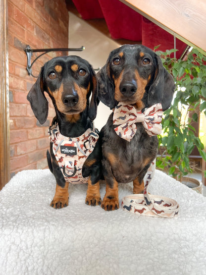 Sailor Bow Tie - Daxie Dream