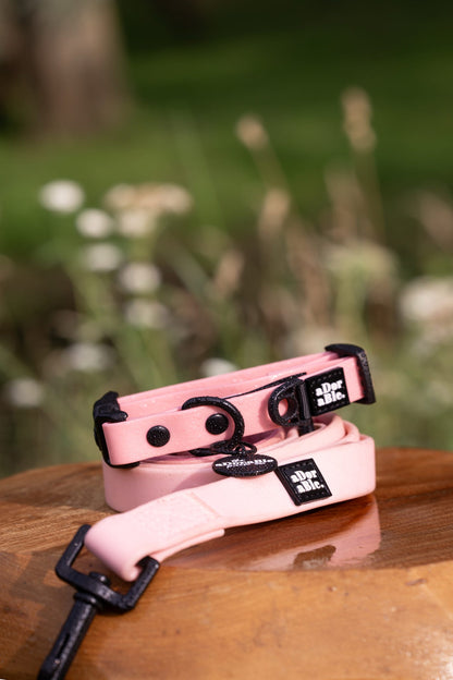 HydroFlex Lite™ Dog Collar - Marshmallow Pink