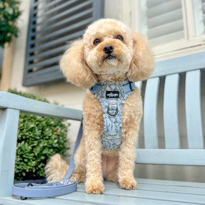 Hike & Go Lite™ Harness - Willow Waters