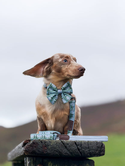 Sailor Bow Tie - Daydream Heights