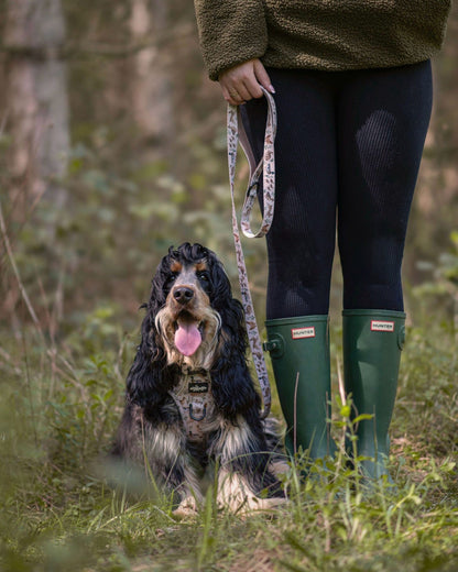 Hike & Go Lite™ Harness - Cotswold Cottage