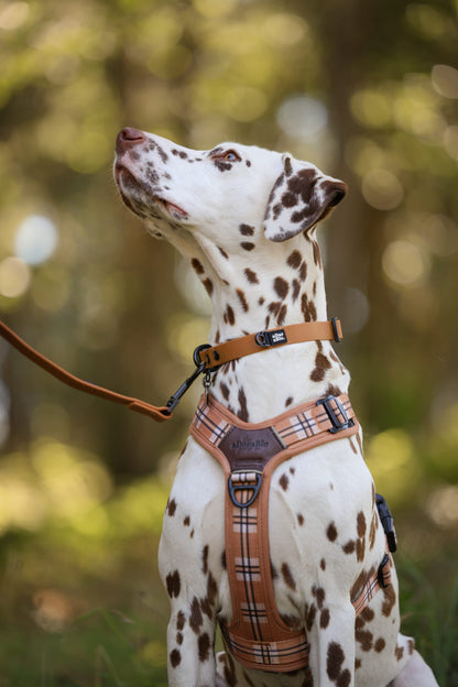 HydroFlex Lite™ Dog Collar - Gingerbread