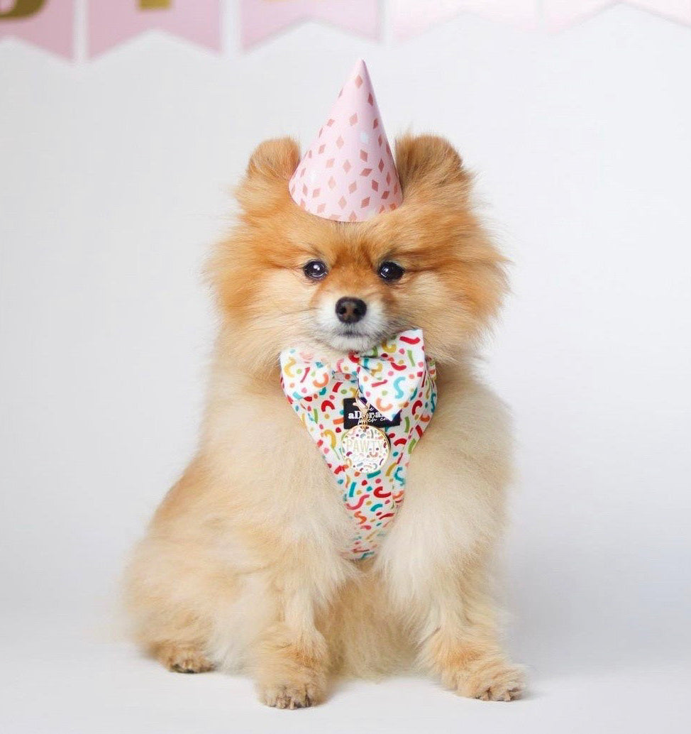 Adjustable Dog Puppy Harness - Party Pupper - XXS