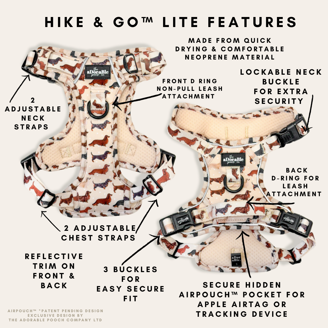 Hike & Go Lite™ Harness - Daxie Dream