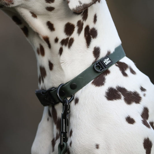 HydroFlex Lite™ Dog Collar - Evergreen