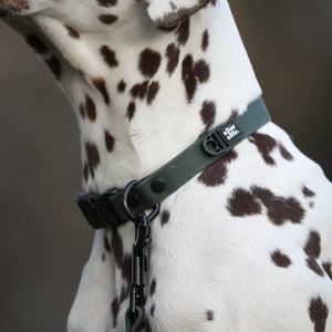 HydroFlex Lite™ Collar - Evergreen