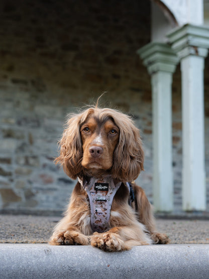 Hike & Go Lite™ Harness - Cotswold Cottage