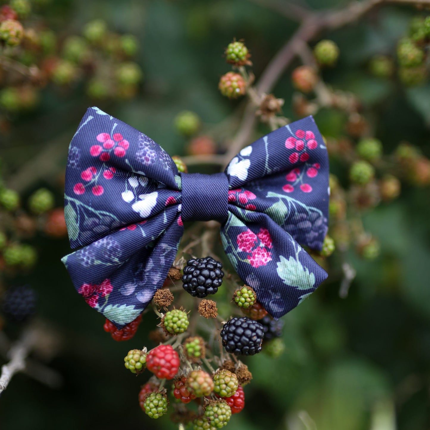 Sailor Bow Tie - Bramble Berry