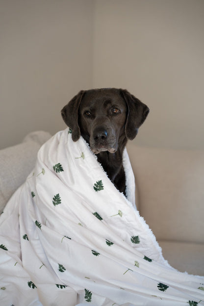 Supersize Soft Blanket - Forest Of Ferns