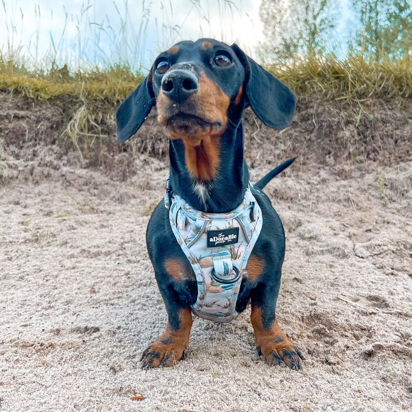 Hike & Go Lite™ Harness - Coastal Beach Grass