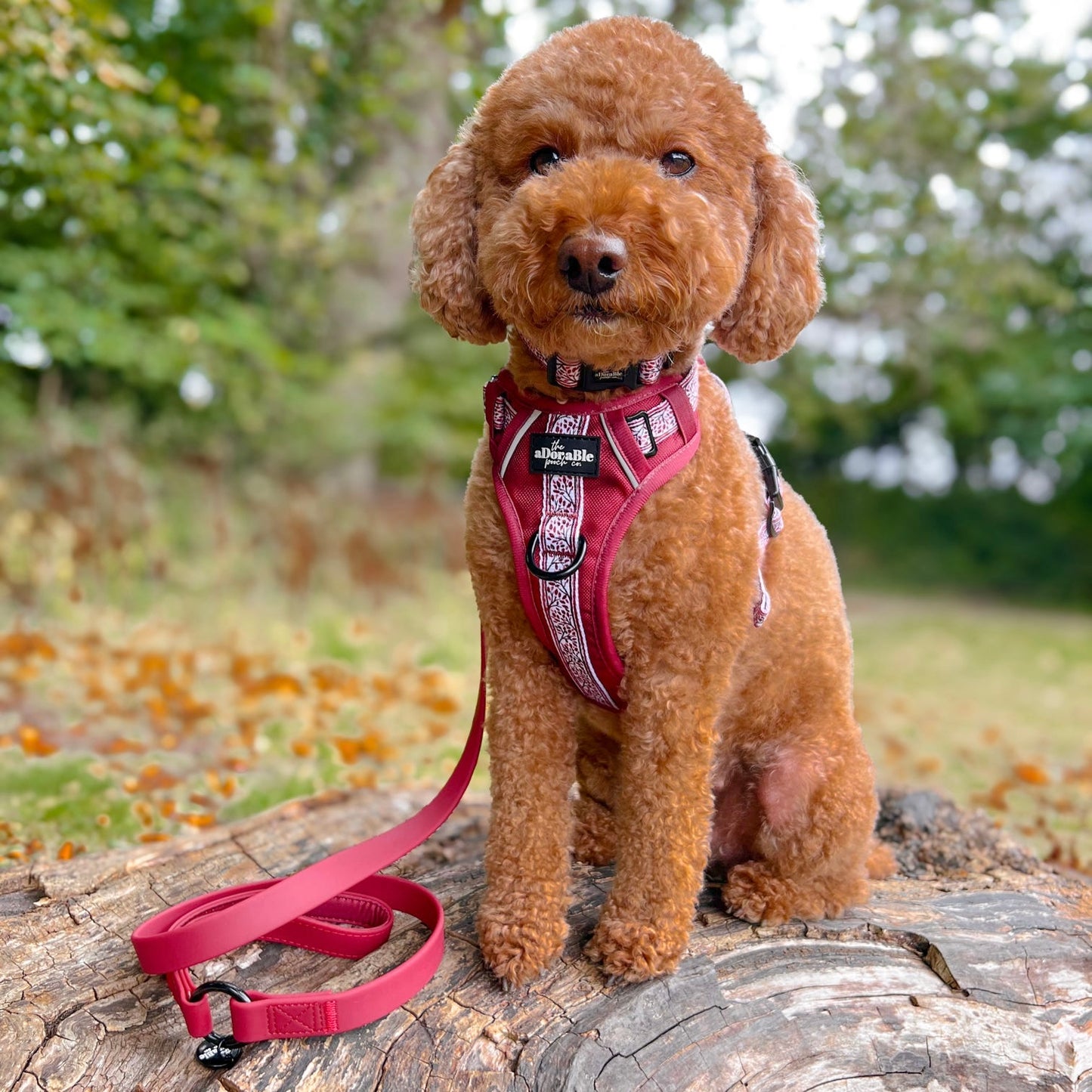 Hike & Go™ Harness - Cherrywood Ivy