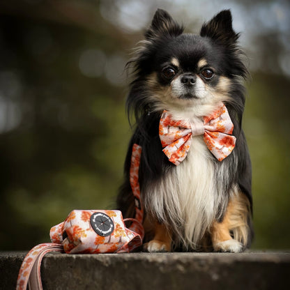 Sailor Bow Tie - Autumn Orchard