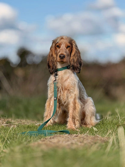 HydroFlex™ Waterproof Dog Lead - Pheasant Green