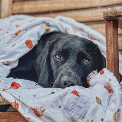 Supersize Soft Blanket - Pumpkin Harvest