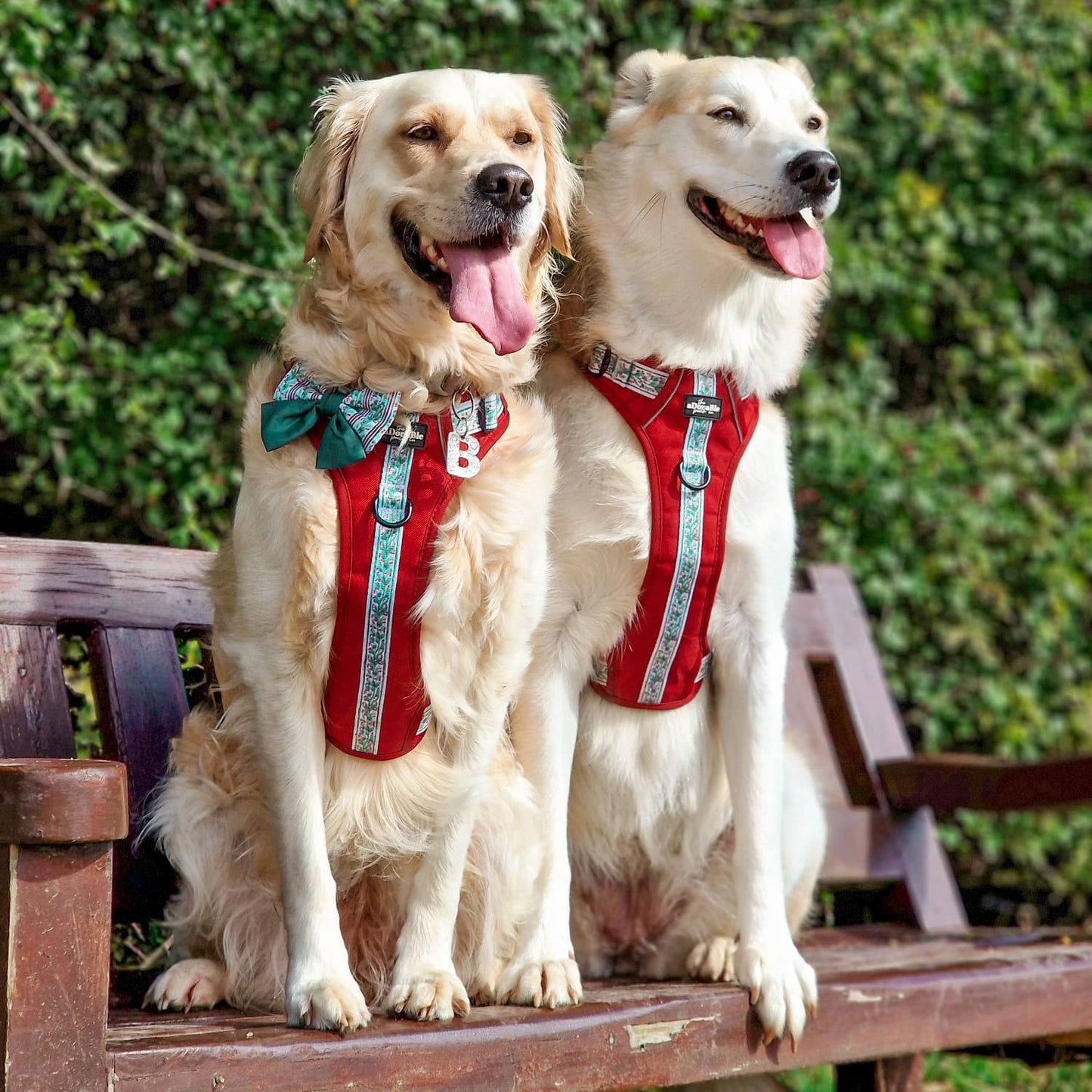 Hike & Go™ Harness - Garlands Of Evergreen