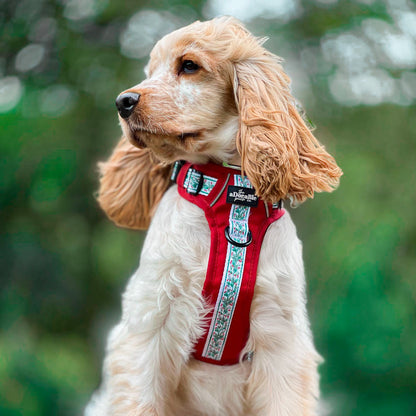 Hike & Go™ Harness - Garlands Of Evergreen