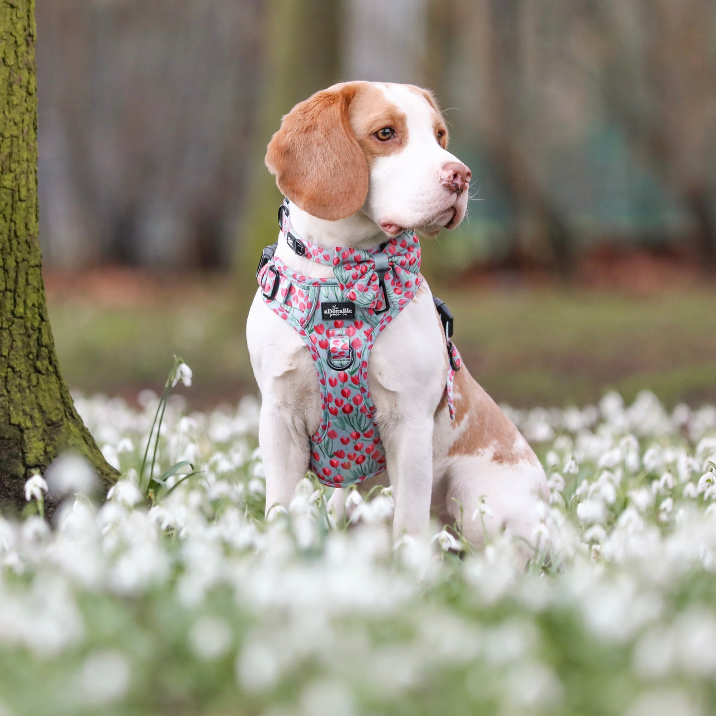 Hike & Go Lite™ Harness - Timeless Tulips