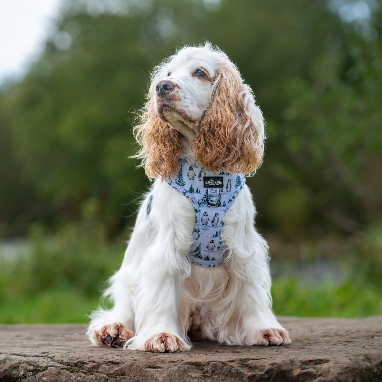 Adjustable Harness - Arctic Blizzard