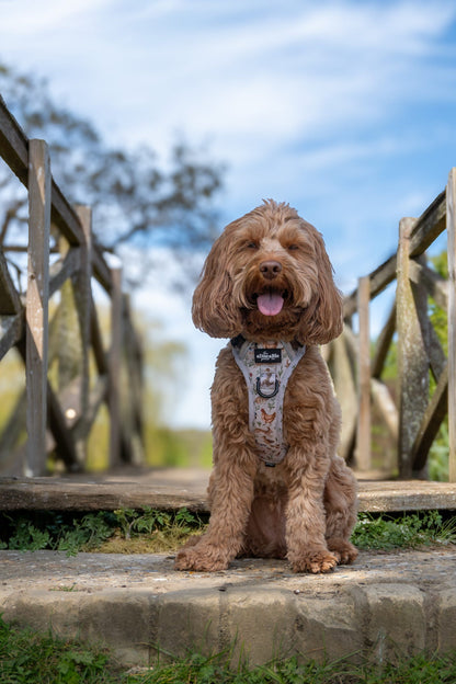 Hike & Go Lite™ Harness - Cotswold Cottage