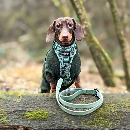 Hike & Go Lite™ Harness - Forest Of Ferns