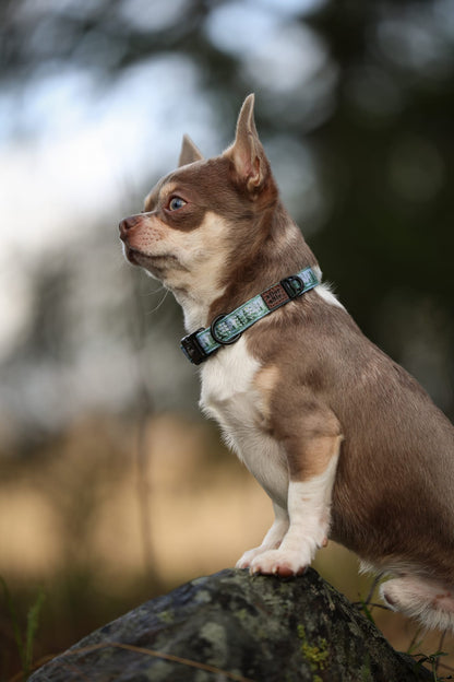 Collar - Daydream Heights