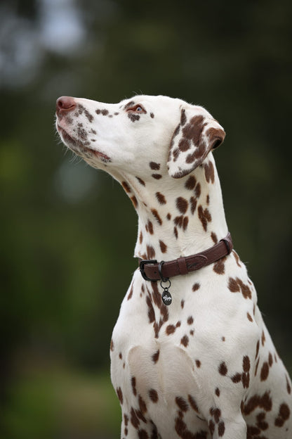 Heritage Faux Leather Dog Collar - Brown