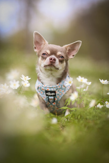 Adjustable Harness - Oopsy Daisy
