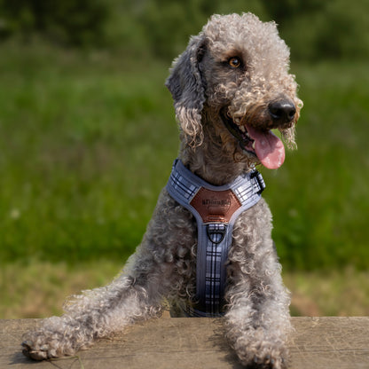 Streamline Pro™ Dog Harness - Heritage Collection - Gunsmoke Grey