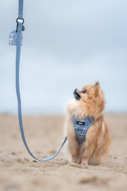 Laura Ashley Dog Harness - Shepherd's Purse