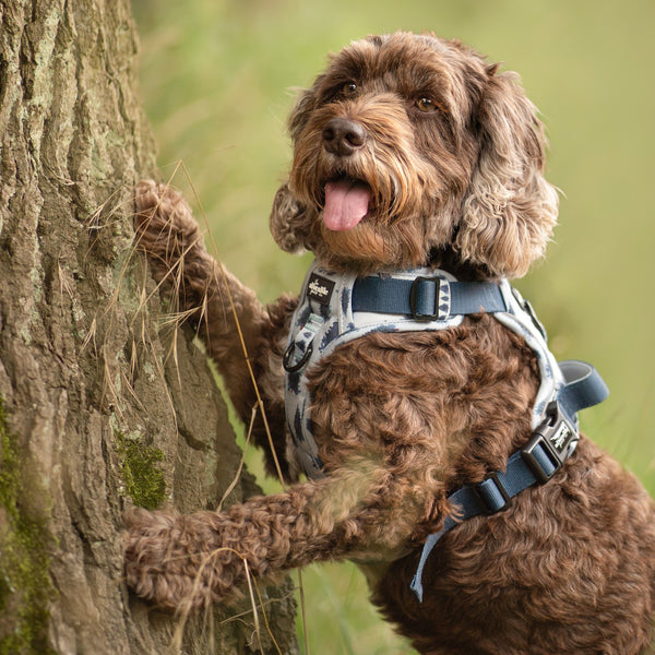 Hike & Go™ Harness - Fresh Pines