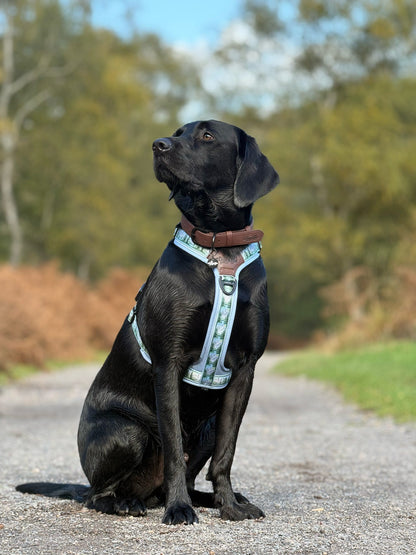 Streamline Pro™ Dog Harness - Daydream Heights