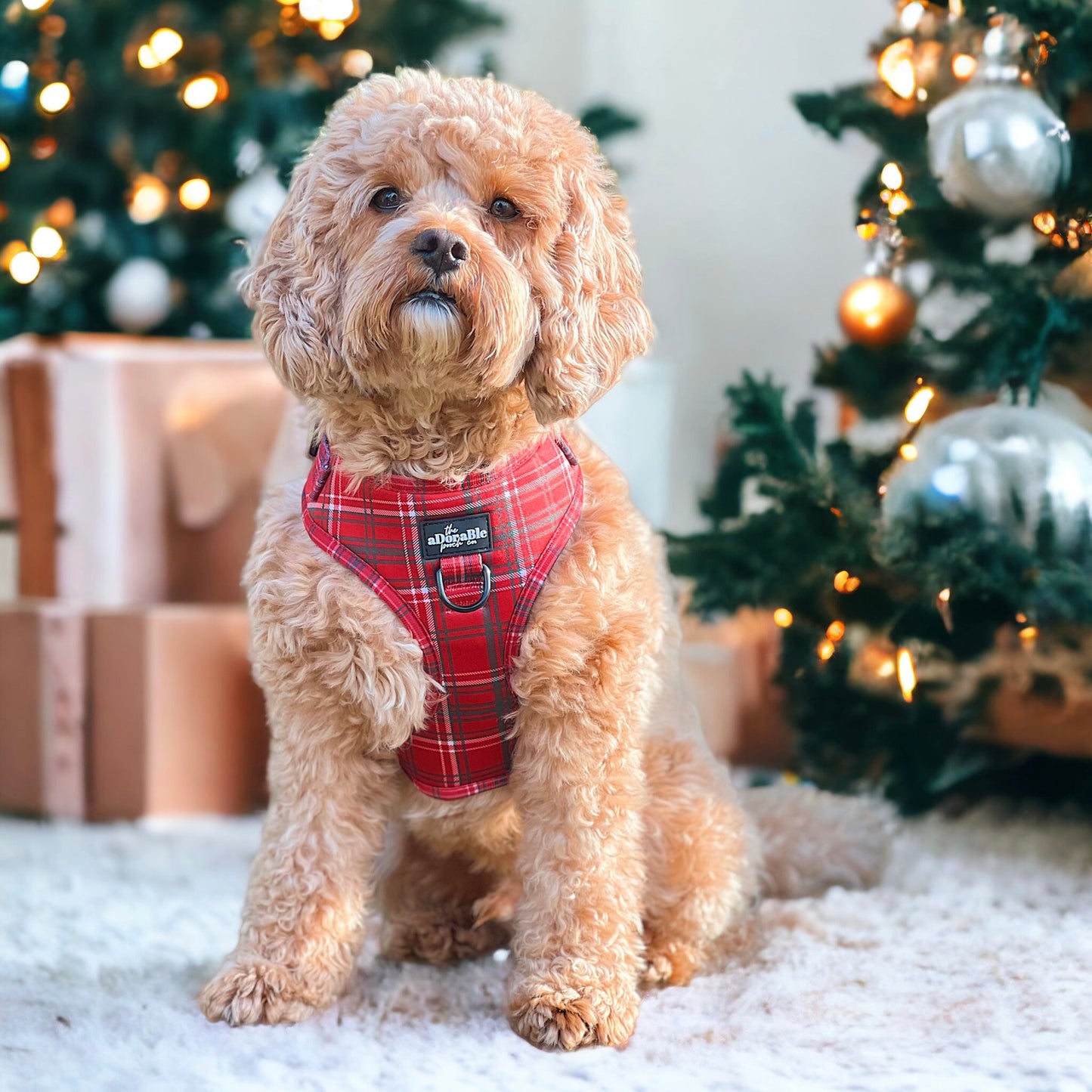 Adjustable Harness - LUXE Berry Red Plaid